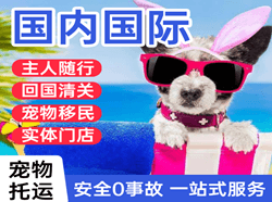 三亚凤凰机场托运国际宠物托运 【国